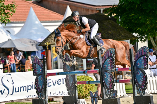 Show Jumping Event Stall Leichle in Schnarup | 15082025 Prf 9 Amateur M++_063 