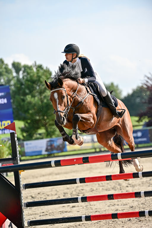 Show Jumping Event Stall Leichle in Schnarup | 15082025 Prf 9 Amateur M++_064 