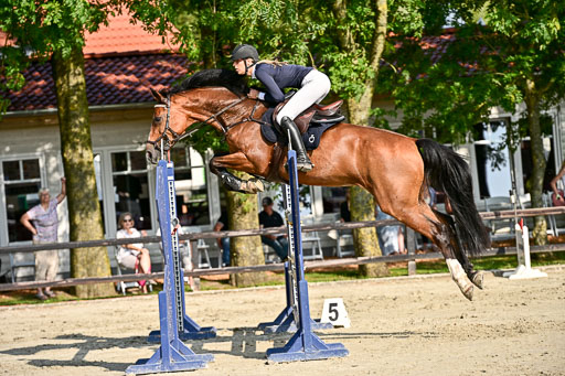 Show Jumping Event Stall Leichle in Schnarup | 15082025 Prf 9 Amateur M++_065 