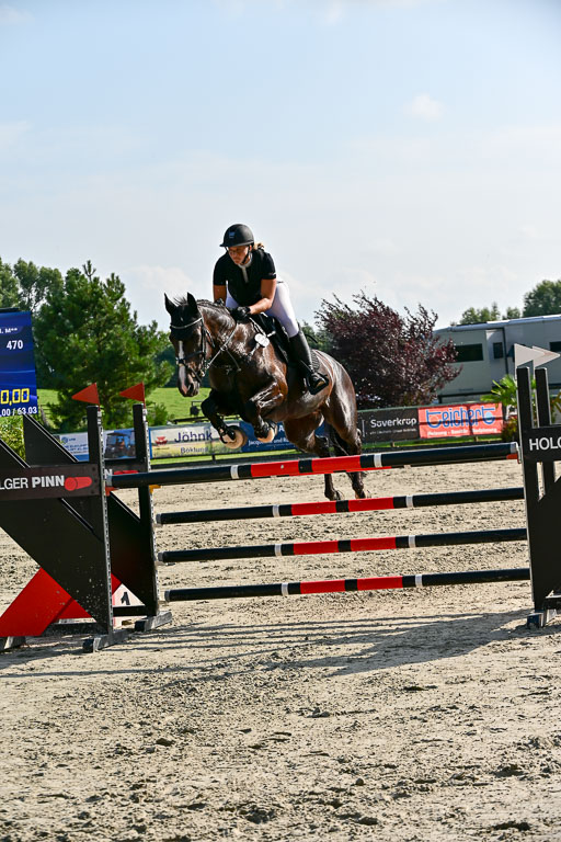 Show Jumping Event Stall Leichle in Schnarup | 15082025 Prf 9 Amateur M++_070 