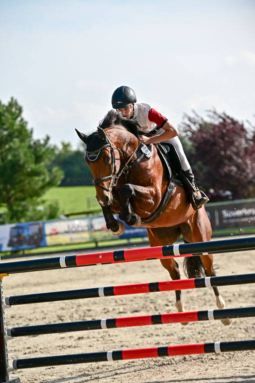 Show Jumping Event Stall Leichle in Schnarup | 15082025 Prf 9 Amateur M++_075 