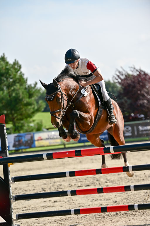 Show Jumping Event Stall Leichle in Schnarup | 15082025 Prf 9 Amateur M++_076 