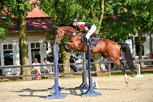 Show Jumping Event Stall Leichle in Schnarup | 15082025 Prf 9 Amateur M++_077 