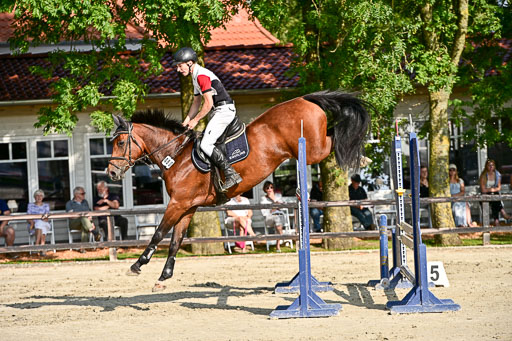 Show Jumping Event Stall Leichle in Schnarup | 15082025 Prf 9 Amateur M++_079 