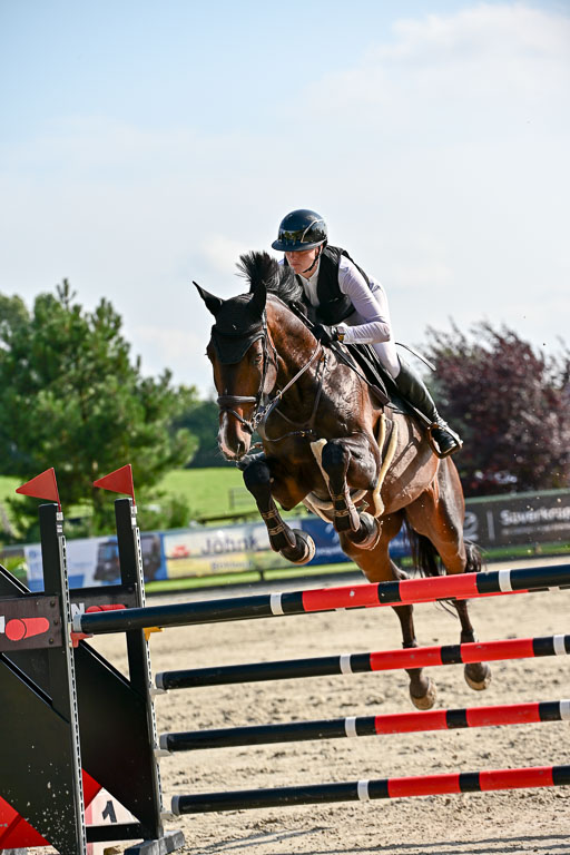 Show Jumping Event Stall Leichle in Schnarup | 15082025 Prf 9 Amateur M++_082 