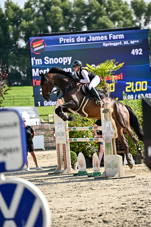 Show Jumping Event Stall Leichle in Schnarup | 15082025 Prf 9 Amateur M++_083 