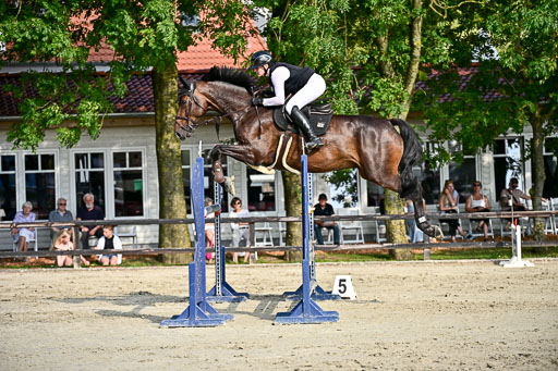 Show Jumping Event Stall Leichle in Schnarup | 15082025 Prf 9 Amateur M++_084 