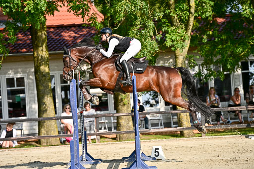 Show Jumping Event Stall Leichle in Schnarup | 15082025 Prf 9 Amateur M++_089 