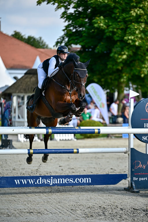 Show Jumping Event Stall Leichle in Schnarup | 15082025 Prf 9 Amateur M++_090 
