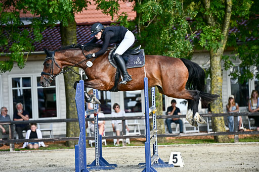 Show Jumping Event Stall Leichle in Schnarup | 15082025 Prf 9 Amateur M++_092 