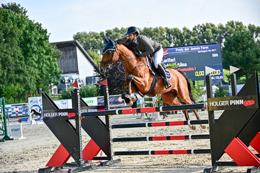 Show Jumping Event Stall Leichle in Schnarup | 15082025 Prf 9 Amateur M++_095 