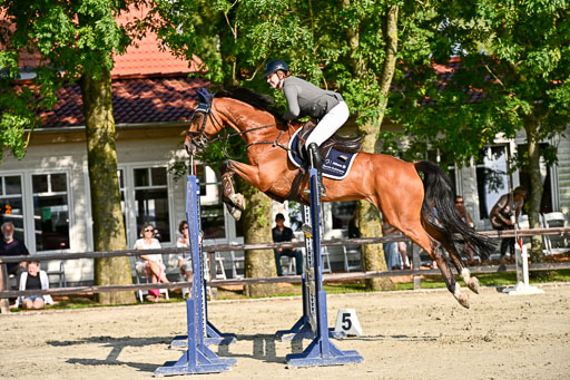 Show Jumping Event Stall Leichle in Schnarup | 15082025 Prf 9 Amateur M++_098 