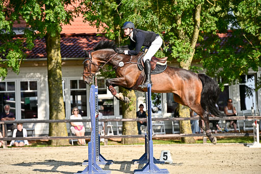 Show Jumping Event Stall Leichle in Schnarup | 15082025 Prf 9 Amateur M++_102 