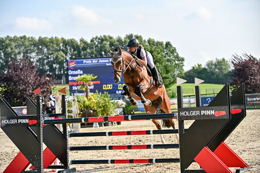 Show Jumping Event Stall Leichle in Schnarup | 15082025 Prf 9 Amateur M++_106 