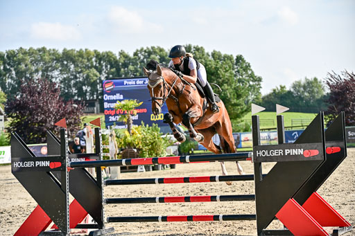 Show Jumping Event Stall Leichle in Schnarup | 15082025 Prf 9 Amateur M++_107 