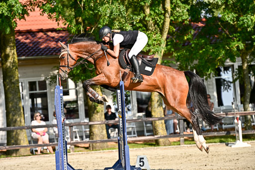Show Jumping Event Stall Leichle in Schnarup | 15082025 Prf 9 Amateur M++_108 