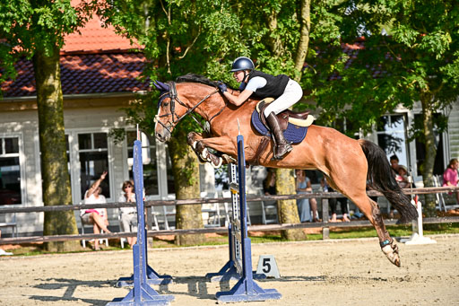 Show Jumping Event Stall Leichle in Schnarup | 15082025 Prf 9 Amateur M++_113 
