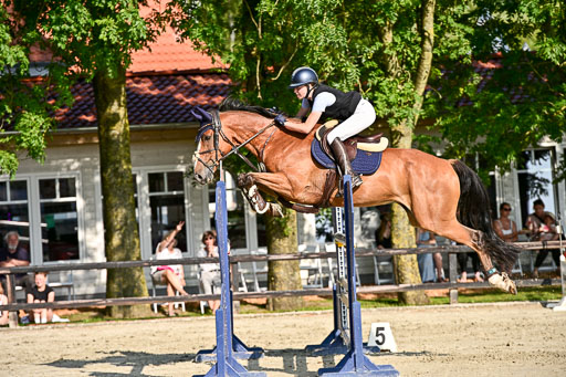 Show Jumping Event Stall Leichle in Schnarup | 15082025 Prf 9 Amateur M++_114 