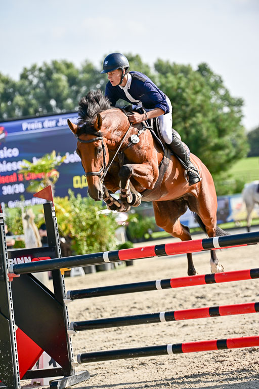 Show Jumping Event Stall Leichle in Schnarup | 15082025 Prf 9 Amateur M++_123 