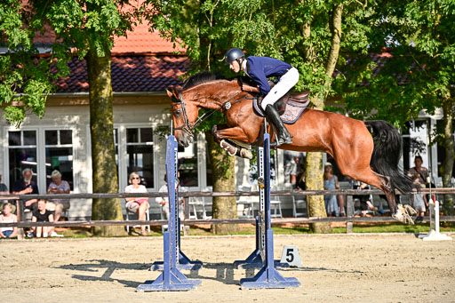 Show Jumping Event Stall Leichle in Schnarup | 15082025 Prf 9 Amateur M++_124 