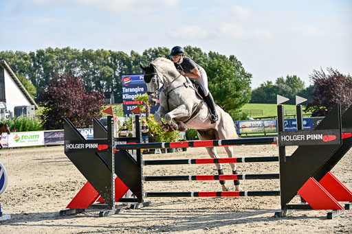 Show Jumping Event Stall Leichle in Schnarup | 15082025 Prf 9 Amateur M++_127 