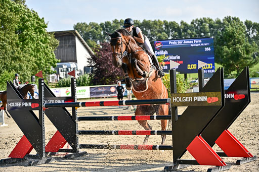Show Jumping Event Stall Leichle in Schnarup | 15082025 Prf 9 Amateur M++_132 