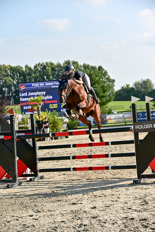 Show Jumping Event Stall Leichle in Schnarup | 15082025 Prf 9 Amateur M++_137 