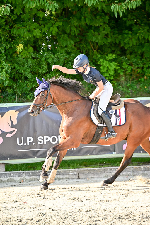 Show Jumping Event Stall Leichle in Schnarup | 15082025 Prf 9 Amateur M++_141 
