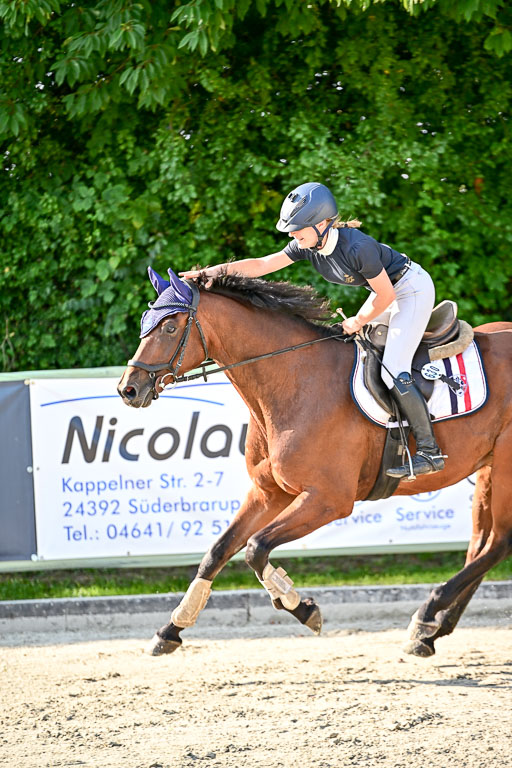 Show Jumping Event Stall Leichle in Schnarup | 15082025 Prf 9 Amateur M++_142 