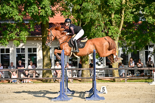 Show Jumping Event Stall Leichle in Schnarup | 15082025 Prf 9 Amateur M++_143 