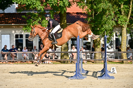 Show Jumping Event Stall Leichle in Schnarup | 15082025 Prf 9 Amateur M++_144 