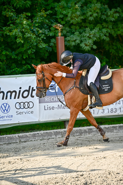 Show Jumping Event Stall Leichle in Schnarup | 15082025 Prf 9 Amateur M++_148 