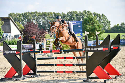 Show Jumping Event Stall Leichle in Schnarup | 15082025 Prf 9 Amateur M++_157 