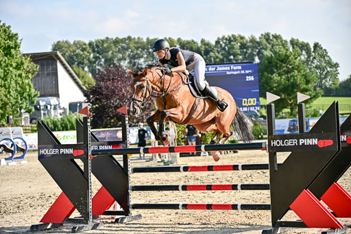 Show Jumping Event Stall Leichle in Schnarup | 15082025 Prf 9 Amateur M++_158 