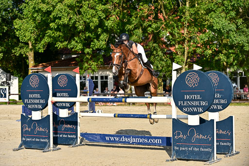 Show Jumping Event Stall Leichle in Schnarup | 15082025 Prf 9 Amateur M++_161 
