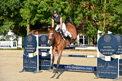 Show Jumping Event Stall Leichle in Schnarup | 15082025 Prf 9 Amateur M++_163 