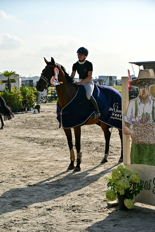 Show Jumping Event Stall Leichle in Schnarup | 15082025 Prf 9 Amateur M++_166 