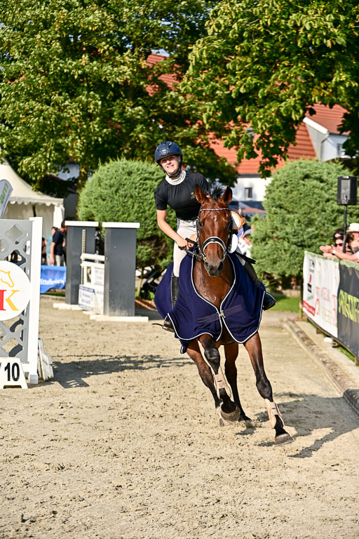 Show Jumping Event Stall Leichle in Schnarup | 15082025 Prf 9 Amateur M++_167 
