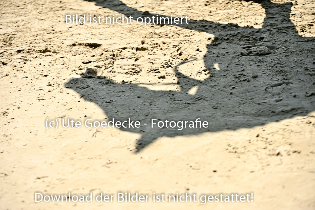  | Impressionen Stall Leichle_039 