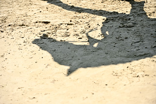  | Impressionen Stall Leichle_039 