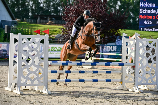 Show Jumping Event Stall Leichle in Schnarup | 16082025 KL A++ SA_009 