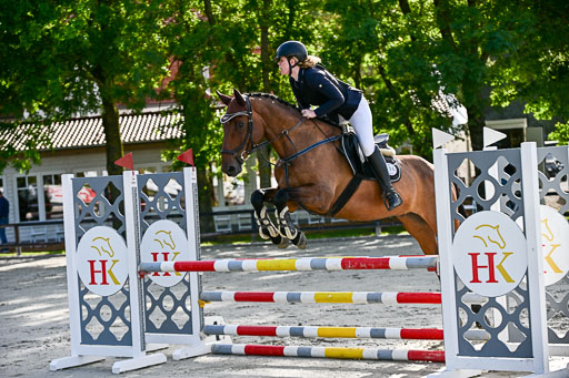 Show Jumping Event Stall Leichle in Schnarup | 16082025 KL A++ SA_026 