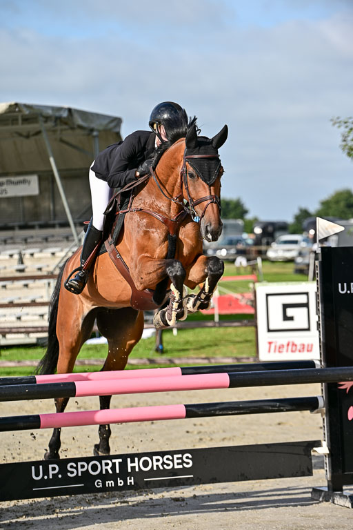 Show Jumping Event Stall Leichle in Schnarup | 16082025 KL A++ SA_032 