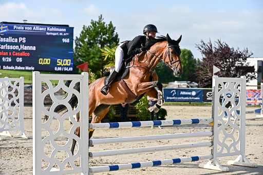 Show Jumping Event Stall Leichle in Schnarup | 16082025 KL A++ SA_036 