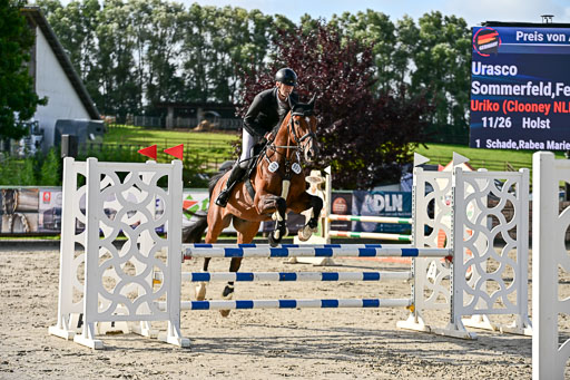 Show Jumping Event Stall Leichle in Schnarup | 16082025 KL A++ SA_045 