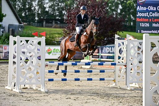 Show Jumping Event Stall Leichle in Schnarup | 16082025 KL A++ SA_048 