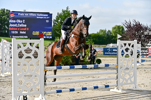 Show Jumping Event Stall Leichle in Schnarup | 16082025 KL A++ SA_049 