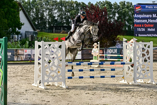 Show Jumping Event Stall Leichle in Schnarup | 16082025 KL A++ SA_058 