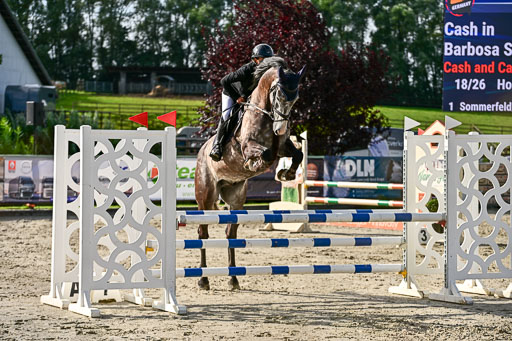 Show Jumping Event Stall Leichle in Schnarup | 16082025 KL A++ SA_072 