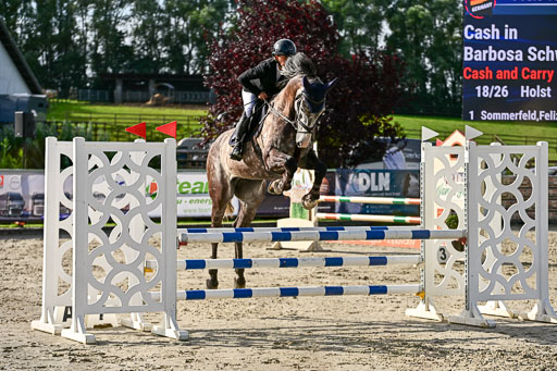 Show Jumping Event Stall Leichle in Schnarup | 16082025 KL A++ SA_073 